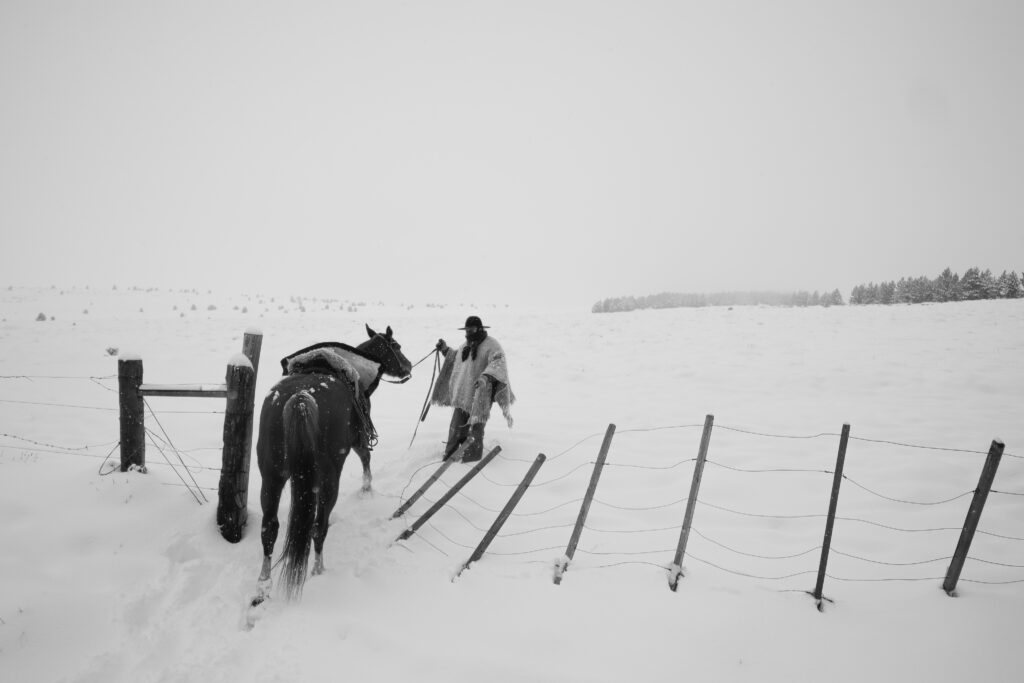 a188f25c cd1f 423d a479 390faef89e17