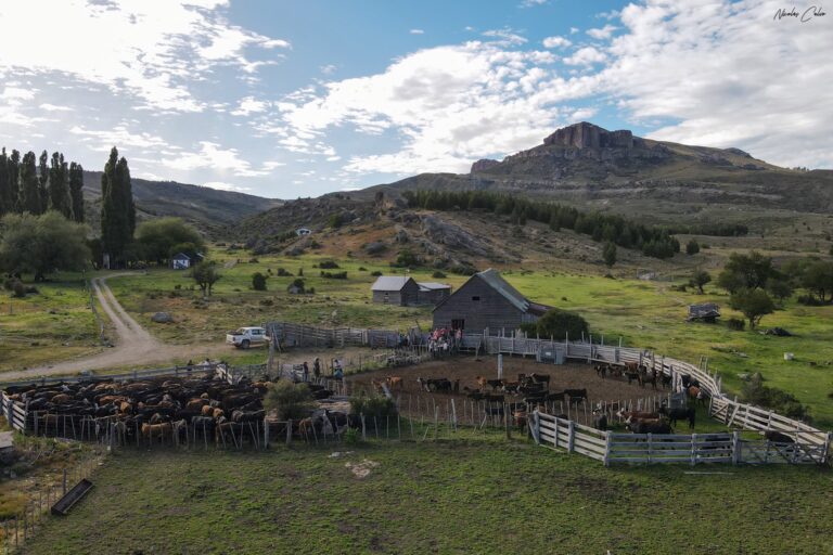 arreo y corral(1)