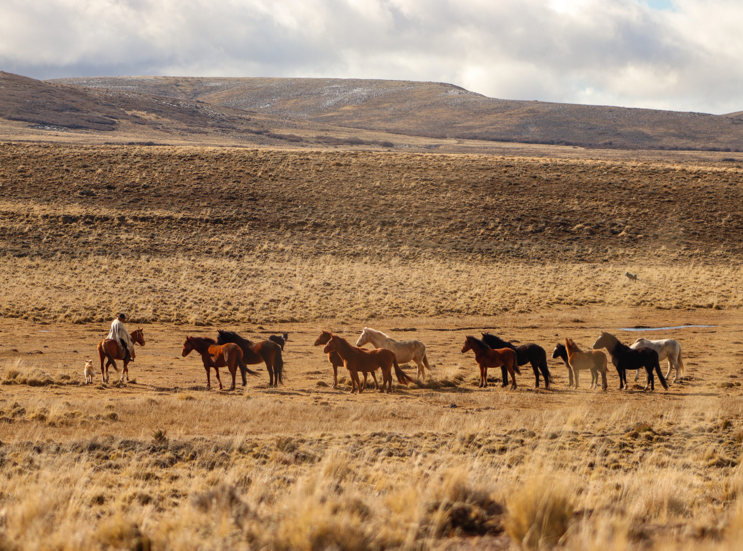 cabalgatas(3)