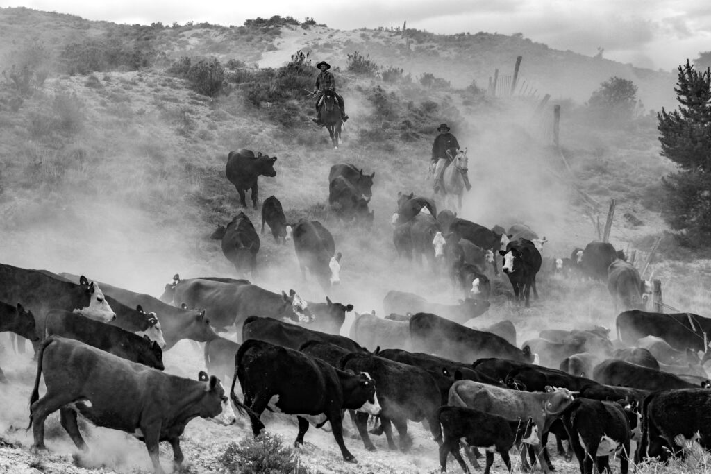 5d4142b3 d7a3 46eb a9be 0712f4906525