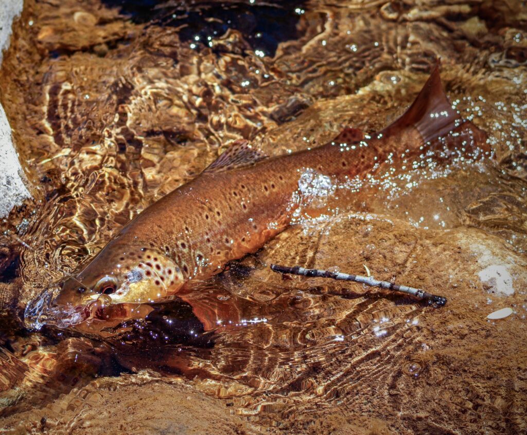 7479f642 17eb 4865 8162 85976013f261