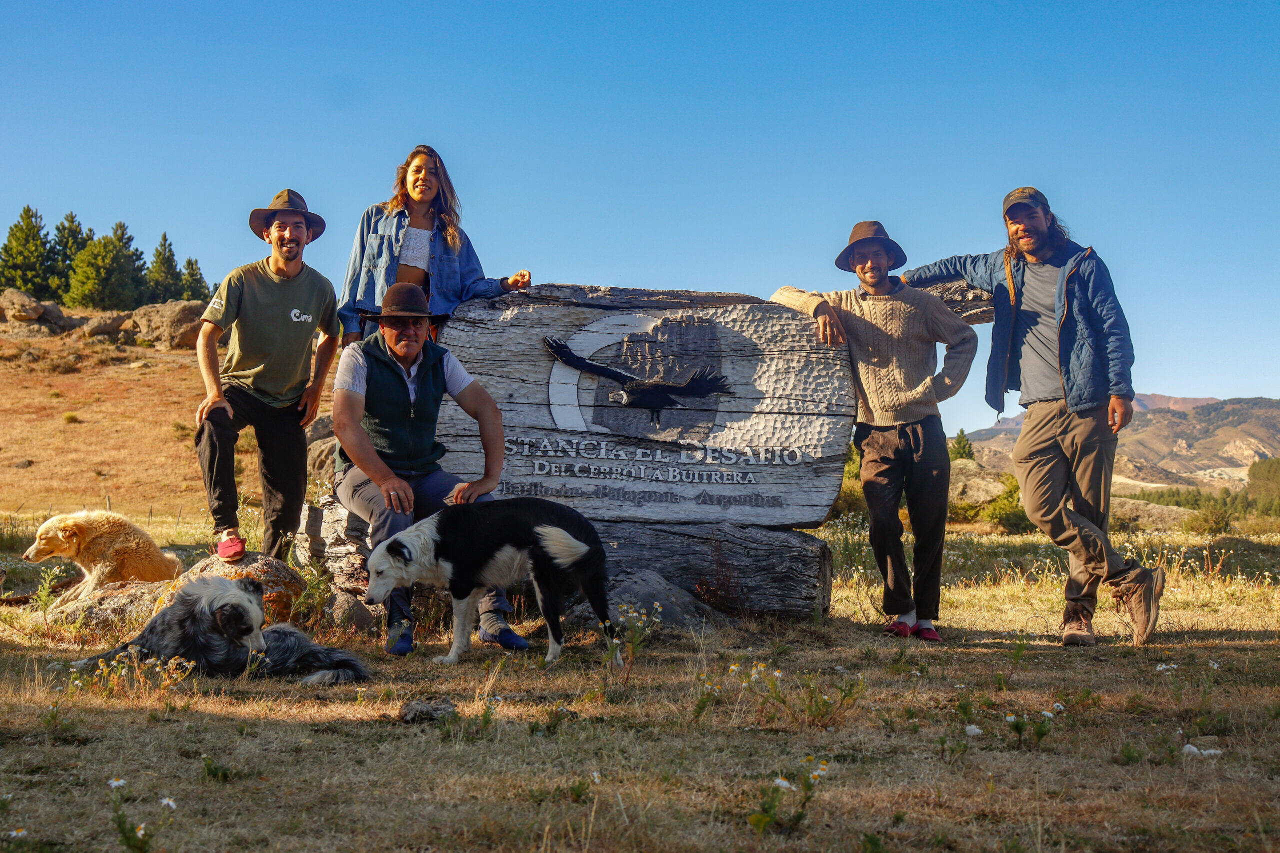 VOLUNTARIADOS 79f194e3 dd8b 4da6 b3d1 19d1854306c5