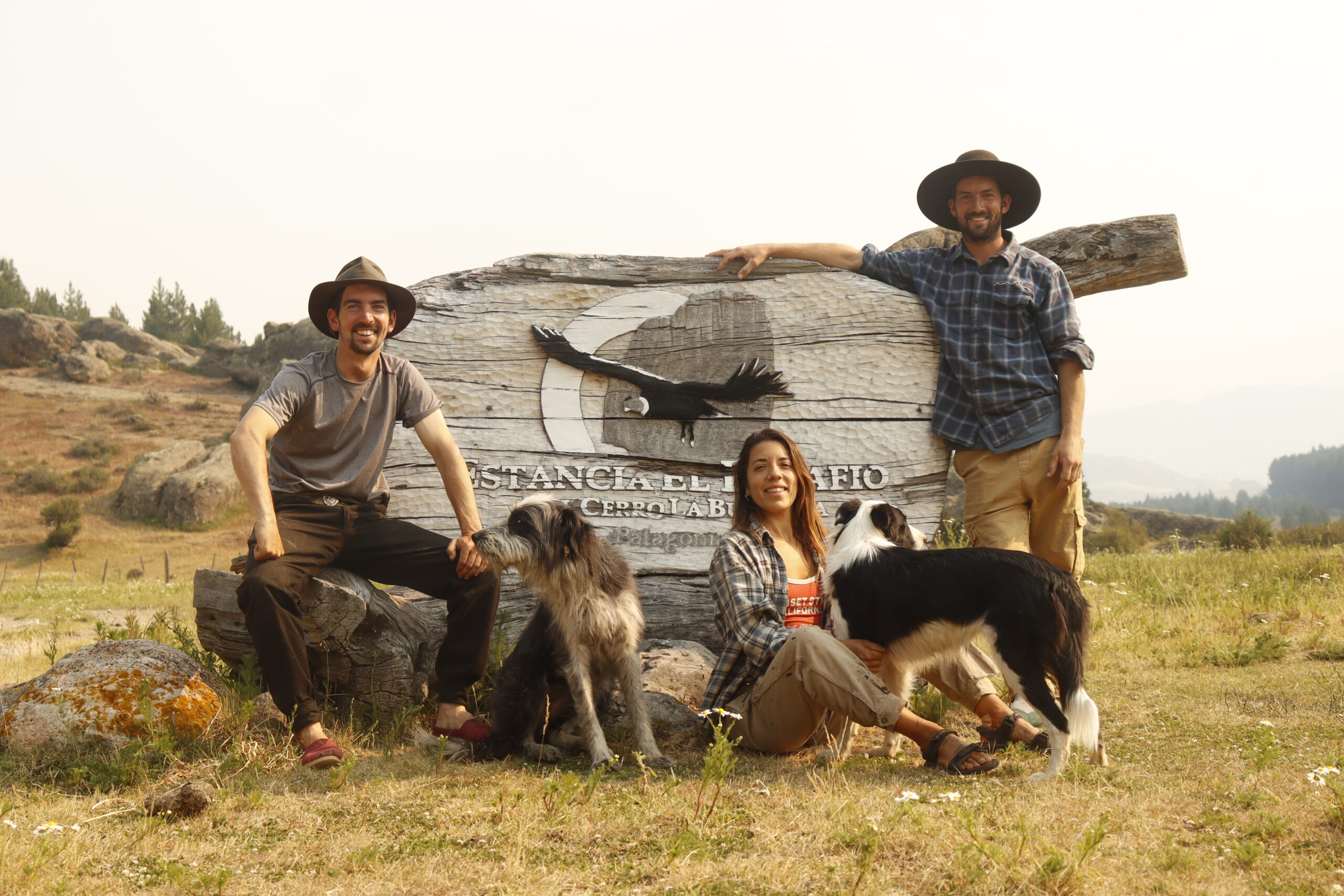 VOLUNTARIADOS mg 3365