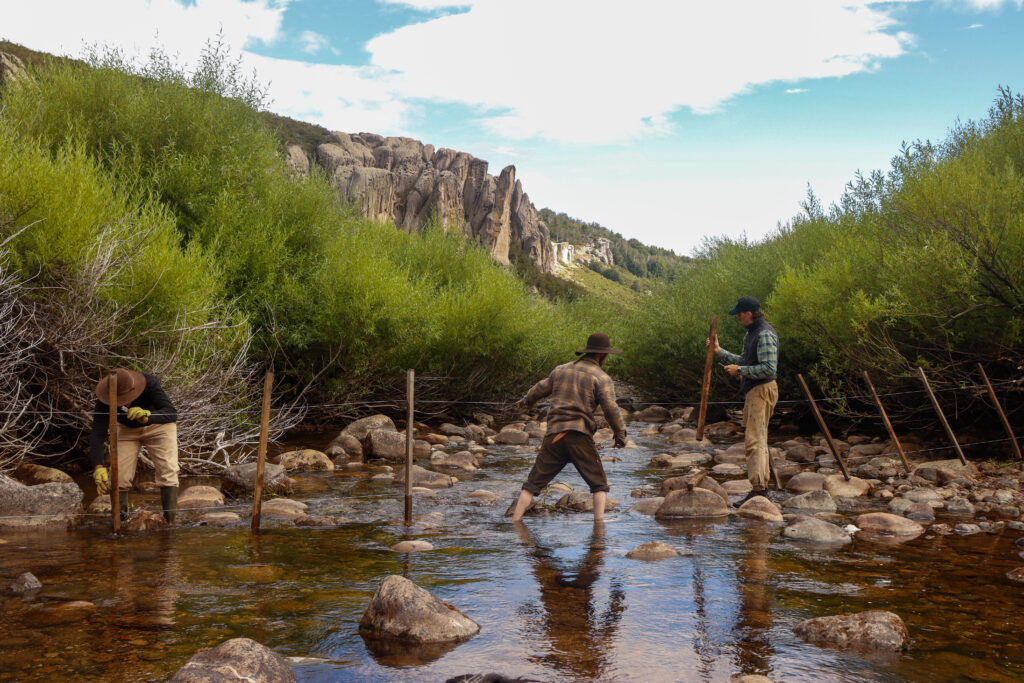 66ad4f72 caa5 4a88 b7f0 f24b84571fab