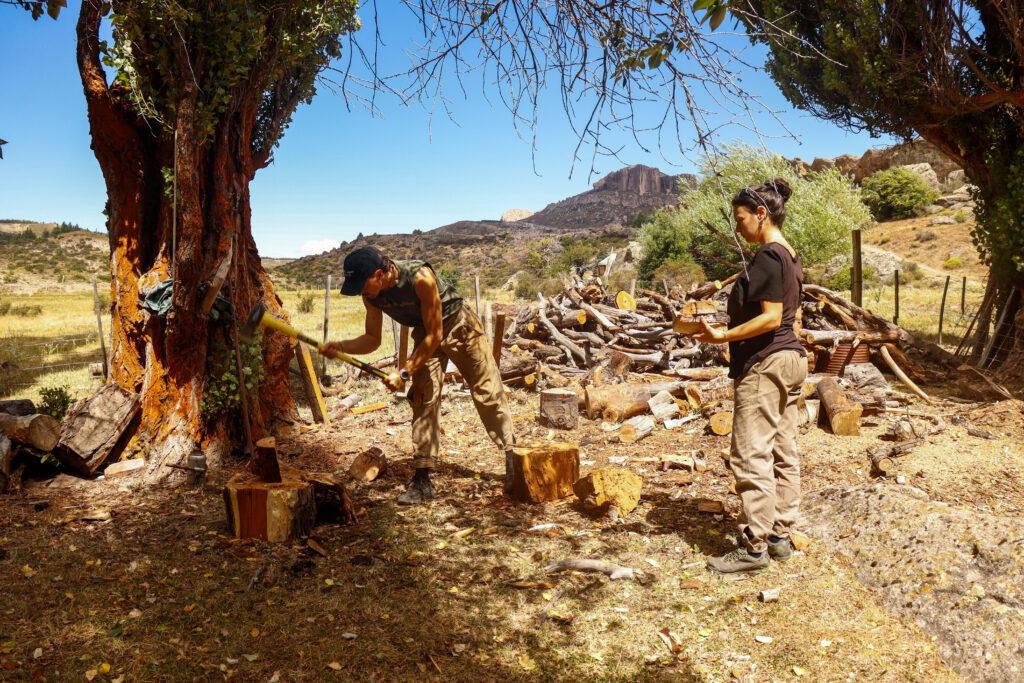 7922bc08 77a2 4766 be89 0cb39bafcaa5