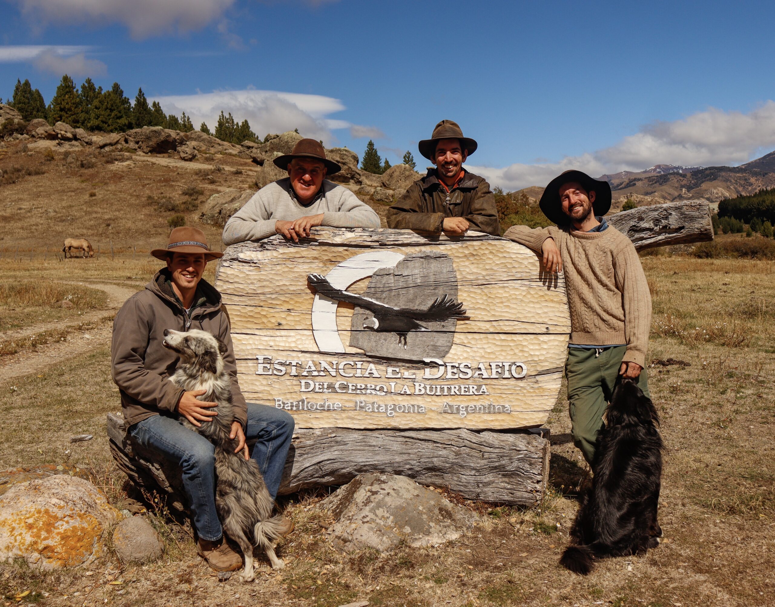 d365d2cb 0bac 46de ab19 003b40c7af9f