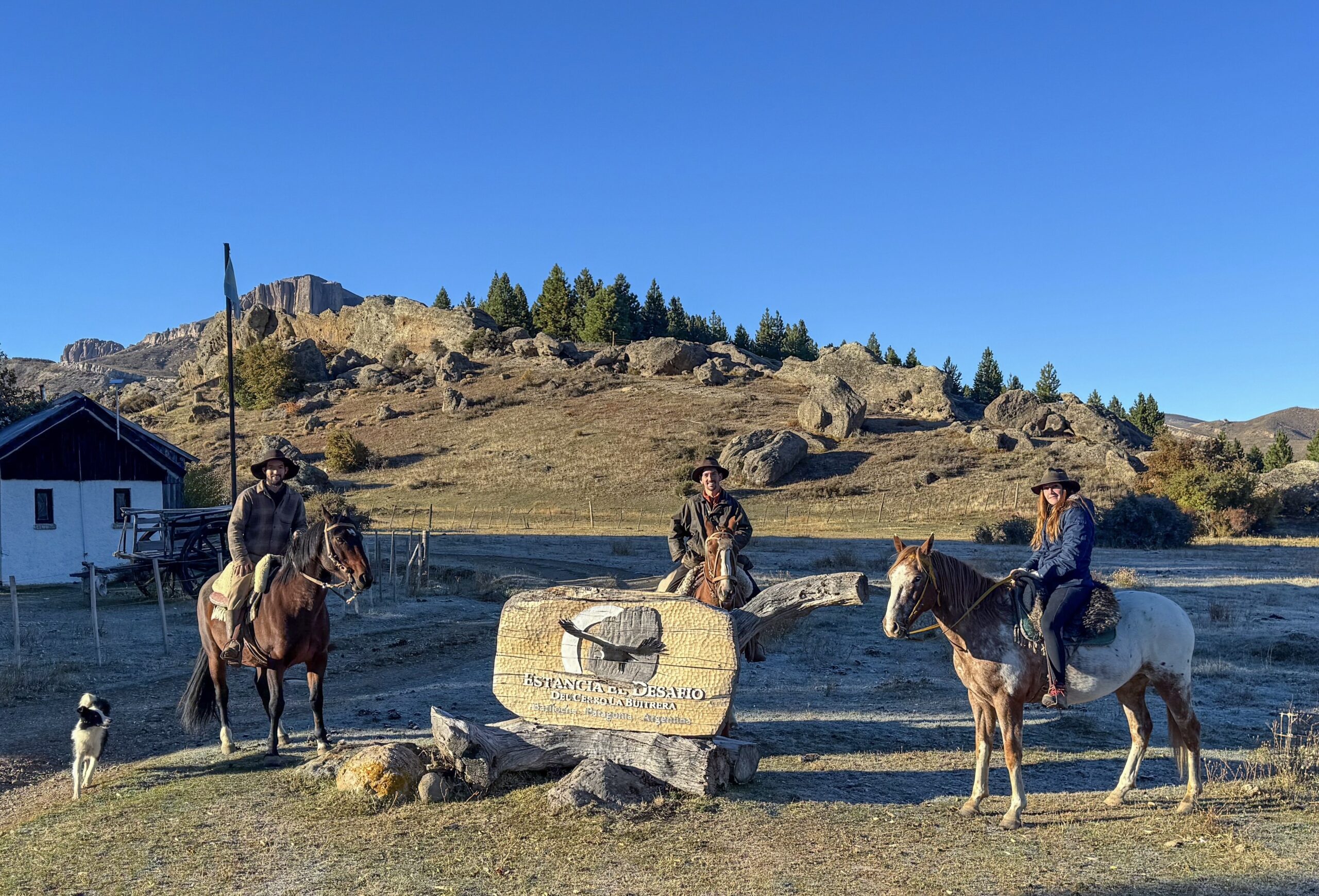 028acfe7 c572 4619 b618 a4a7f7445fb5