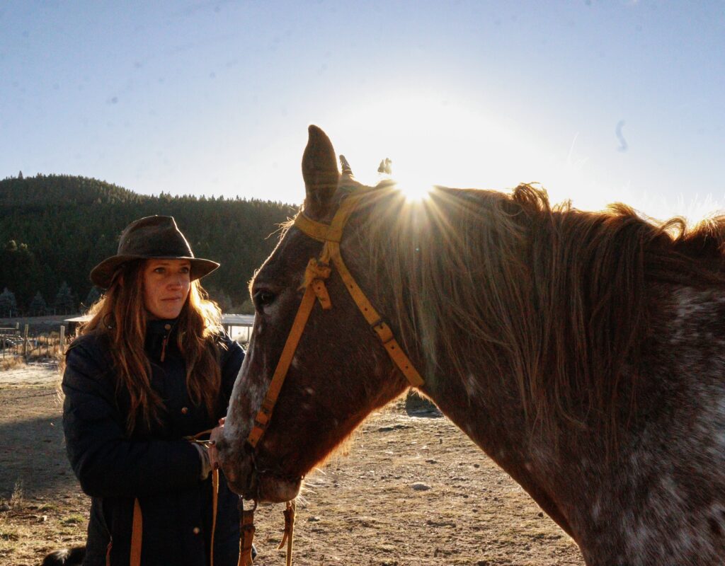 2a9c2a3d 4397 44bd b86d 70c8405bbb31