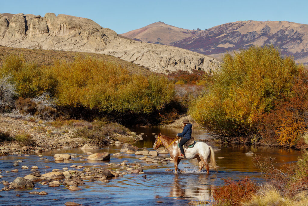 936b3ac2 94fc 4a72 bca0 d85c9eb92909