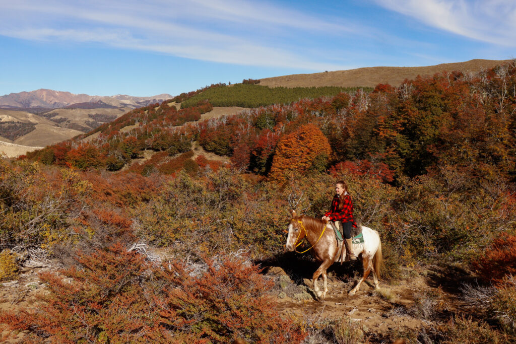 b6b456d6 4885 4523 9a25 01a4c5dfe912